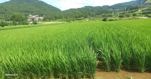 경상남도 거제시 거제면 옥산리 396-3  미지정 경매 물건 이미지