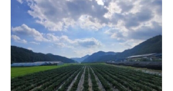 충청북도 보은군 마로면 소여리 1190  미지정 경매 물건 이미지