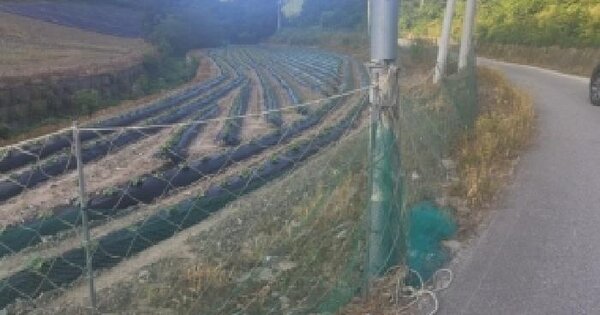 충청북도 청주시 상당구 미원면 운교리 51  미지정 경매 물건 이미지