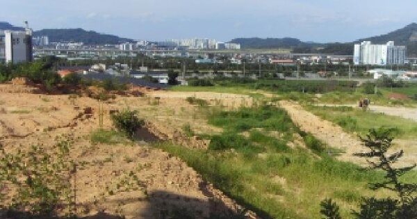 경상북도 칠곡군 북삼읍 어로리 산1  미지정 경매 물건 이미지