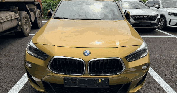 BMW X2 xDrive20d M Sport Package 등록번호 : 166어9777 미지정 경매 물건 이미지