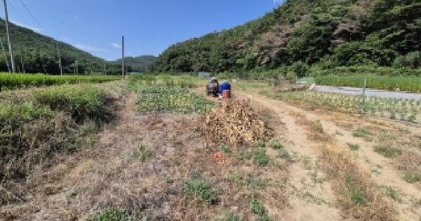 경상북도 경주시 내남면 화곡리 550  미지정 경매 물건 이미지