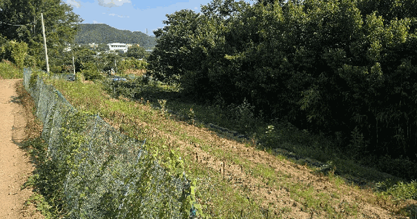 울산광역시 울주군 언양읍 구수리 408  미지정 경매 물건 이미지