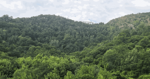 경상남도 밀양시 상남면 기산리 산51  미지정 경매 물건 이미지