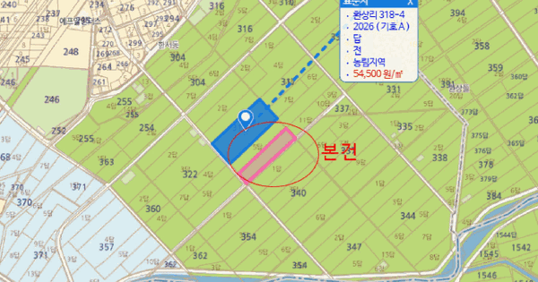 경상북도 경산시 하양읍 환상리 318-6  미지정 경매 물건 이미지