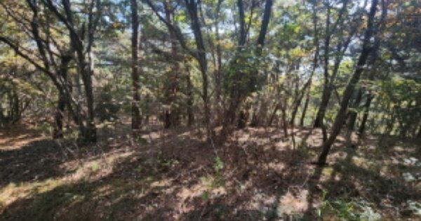 인천광역시 영종구 무의동 산357-30 임야 경매 물건 이미지