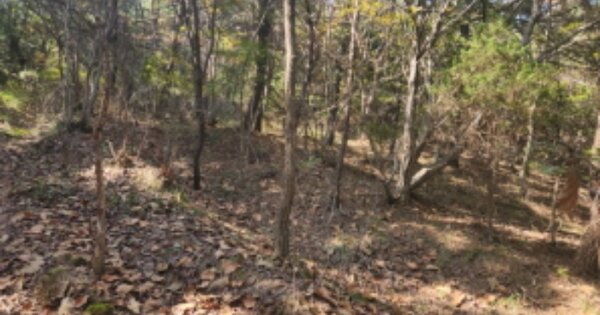 인천광역시 영종구 무의동 산357-33 임야 경매 물건 이미지
