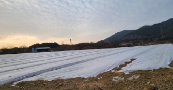 경상북도 영천시 신녕면 치산리 91 전 경매 물건 이미지