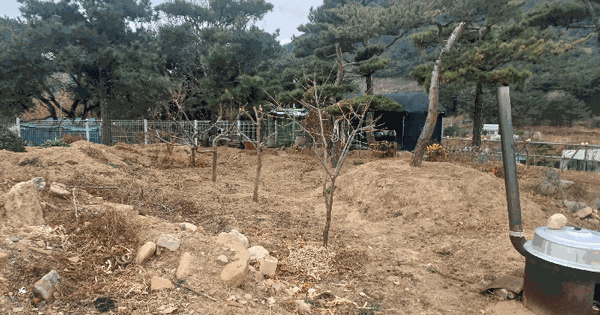 경상북도 칠곡군 동명면 기성리 106-8 전 경매 물건 이미지