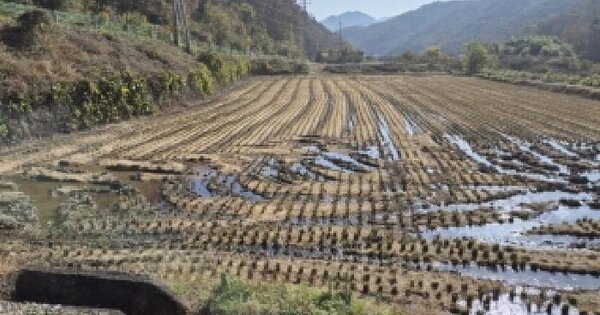 전남광주통합특별시 화순군 동면 오동리 913-1 답 경매 물건 이미지