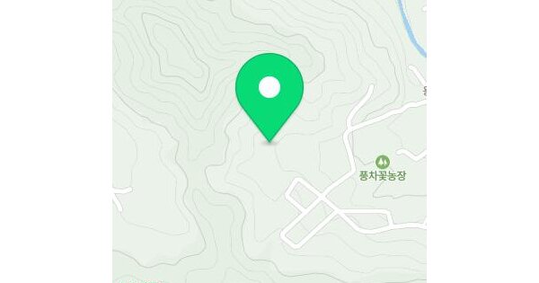 강원특별자치도 원주시 판부면 서곡리 산171  미지정 경매 물건 이미지
