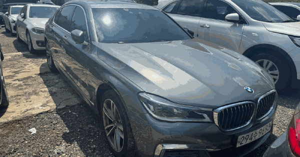 BMW 730Ld xDrive 등록번호 : 294수9693 미지정 경매 물건 이미지