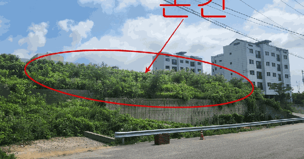 경기도 김포시 통진읍 서암리 892-24  미지정 경매 물건 이미지
