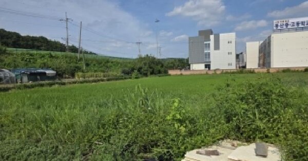 경상북도 안동시 풍산읍 안교리 336-1  미지정 경매 물건 이미지