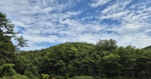 경상북도 의성군 비안면 현산리 산35  미지정 경매 물건 이미지