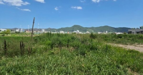 경상북도 영덕군 영덕읍 천전리 223-18  미지정 경매 물건 이미지
