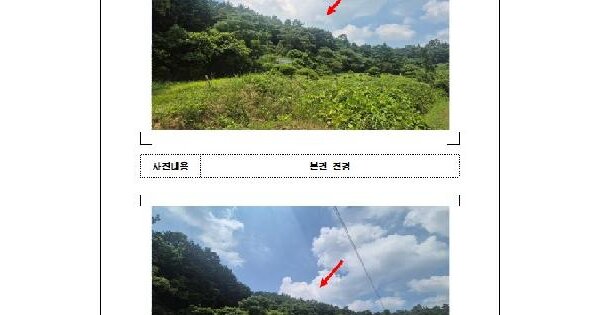 전라남도 함평군 신광면 가덕리 산17  미지정 경매 물건 이미지