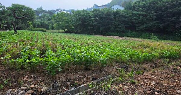 경기도 양평군 서종면 문호리 262-17  미지정 경매 물건 이미지
