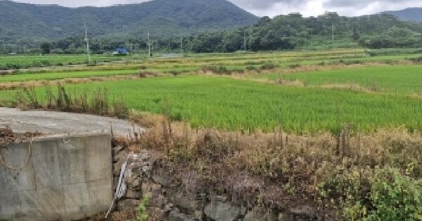 충청남도 보령시 주포면 마강리 200-3  미지정 경매 물건 이미지