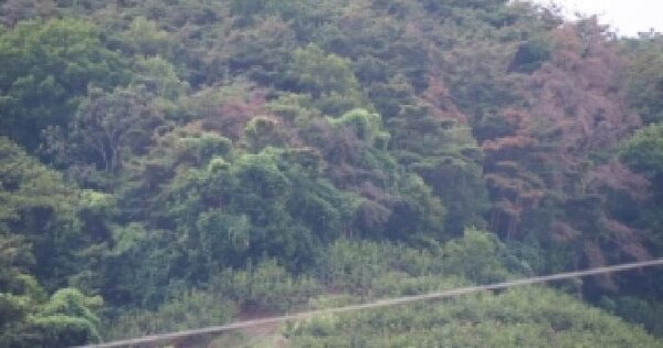 경상남도 창녕군 부곡면 수다리 847-1  미지정 경매 물건 이미지