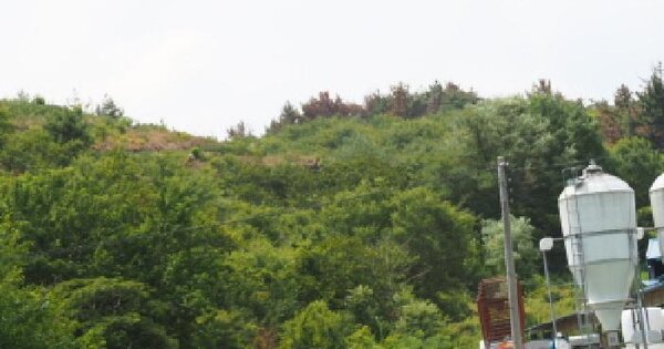 경상남도 창녕군 유어면 광산리 134  미지정 경매 물건 이미지