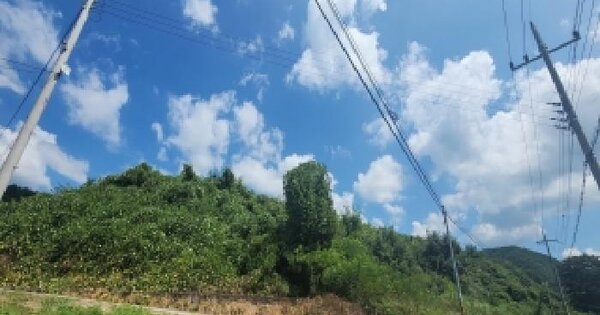 충청북도 영동군 양강면 지촌리 산12-1  미지정 경매 물건 이미지