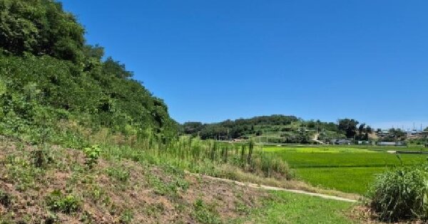 경상북도 영덕군 병곡면 각리리 465  미지정 경매 물건 이미지