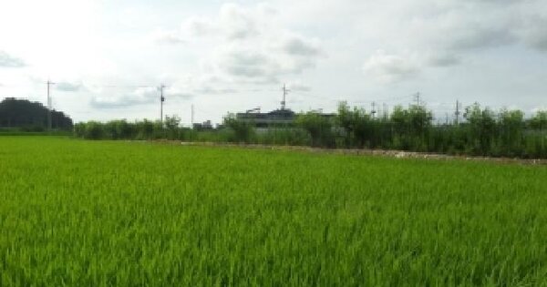 전북특별자치도 김제시 금산면 쌍용리 190  미지정 경매 물건 이미지