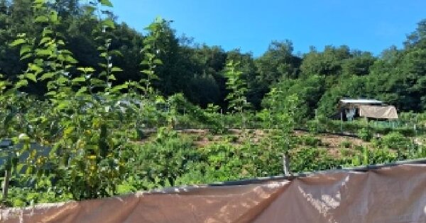 경기도 부천시 소사구 심곡본동 524-153  미지정 경매 물건 이미지