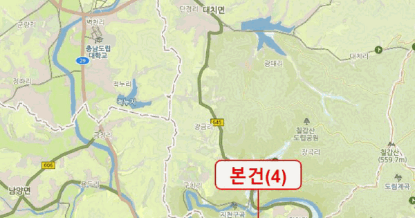 충청남도 청양군 청양읍 교월리 91-5  미지정 경매 물건 이미지