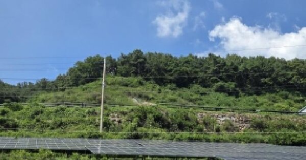 전남광주통합특별시 순천시 석현동 산119-3  미지정 경매 물건 이미지