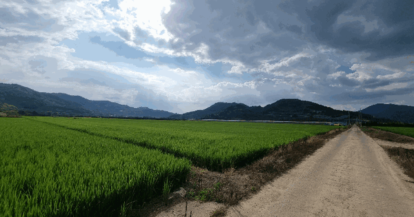 경상남도 창원시 의창구 북면 외산리 1830-21  미지정 경매 물건 이미지