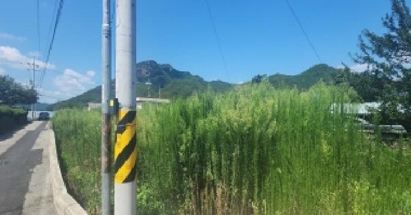 충청북도 영동군 양산면 호탄리 360-1  미지정 경매 물건 이미지
