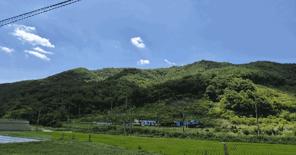 경상북도 고령군 쌍림면 평지리 97  미지정 경매 물건 이미지