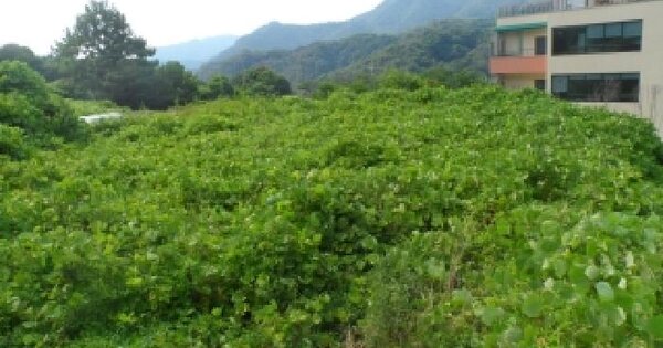 전북특별자치도 임실군 운암면 운암리 896-4  미지정 경매 물건 이미지