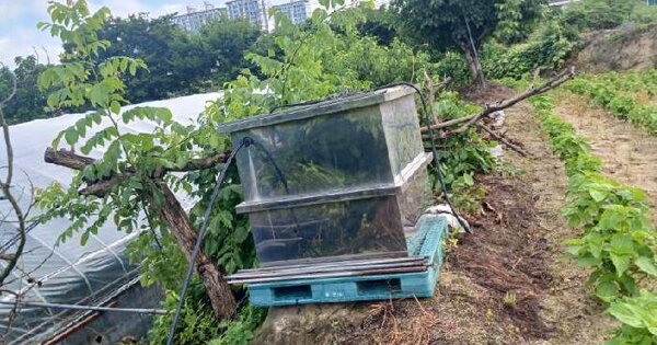 경기도 여주시 삼교동 459-23  미지정 경매 물건 이미지