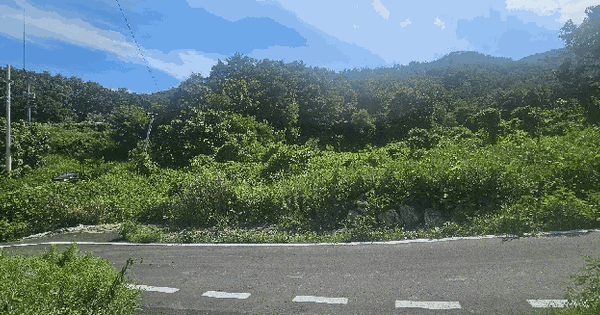 경상북도 김천시 대덕면 중산리 591  미지정 경매 물건 이미지