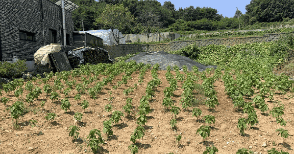 경기도 화성시 만세구 서신면 장외리 460-3  미지정 경매 물건 이미지