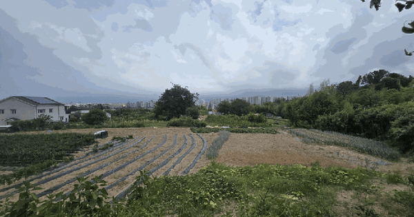 경상북도 포항시 남구 오천읍 원리 614-5  미지정 경매 물건 이미지