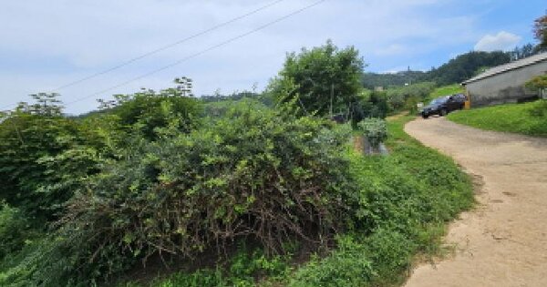 충청북도 충주시 주덕읍 신양리 366-1 전 경매 물건 이미지