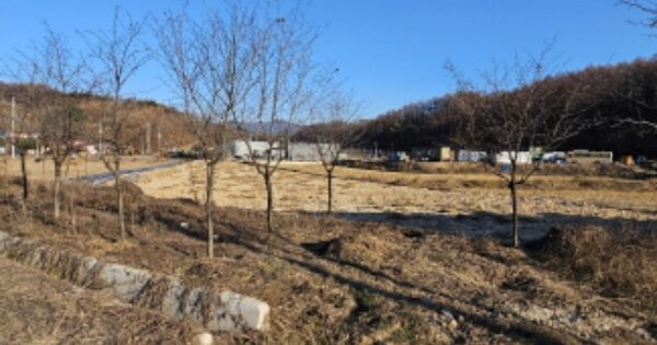 충청북도 충주시 동량면 대전리 1700 답 경매 물건 이미지