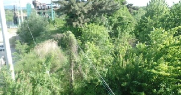충청남도 논산시 연무읍 안심리 산78 임야 경매 물건 이미지