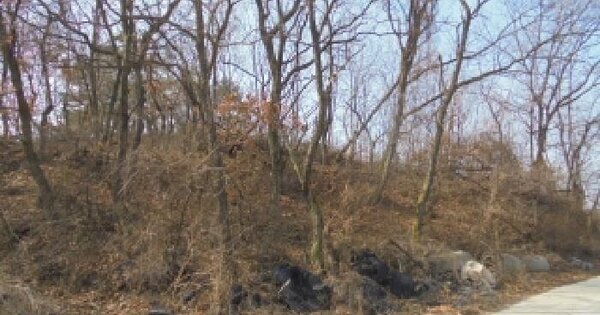 충청남도 논산시 성동면 병촌리 341-15 임야 경매 물건 이미지