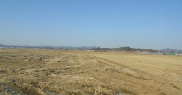 충청남도 부여군 초촌면 산직리 768-4 답 경매 물건 이미지