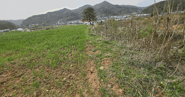 충청남도 논산시 양촌면 인천리 5 전 경매 물건 이미지
