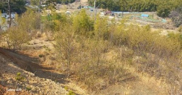 경상남도 거제시 하청면 어온리 산8-1 임야 경매 물건 이미지