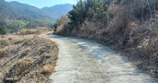 경상남도 거제시 하청면 유계리 299 답 경매 물건 이미지
