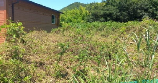 경상남도 거제시 하청면 덕곡리 310 전 경매 물건 이미지