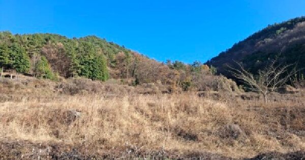 경상남도 사천시 실안동 703 답 경매 물건 이미지