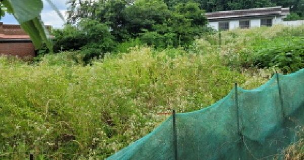전북특별자치도 익산시 송학동 374-2 전 경매 물건 이미지